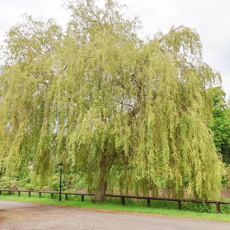 Dom wakacyjny Waterside *