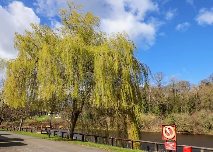 Waterside בית נופש וויטבי